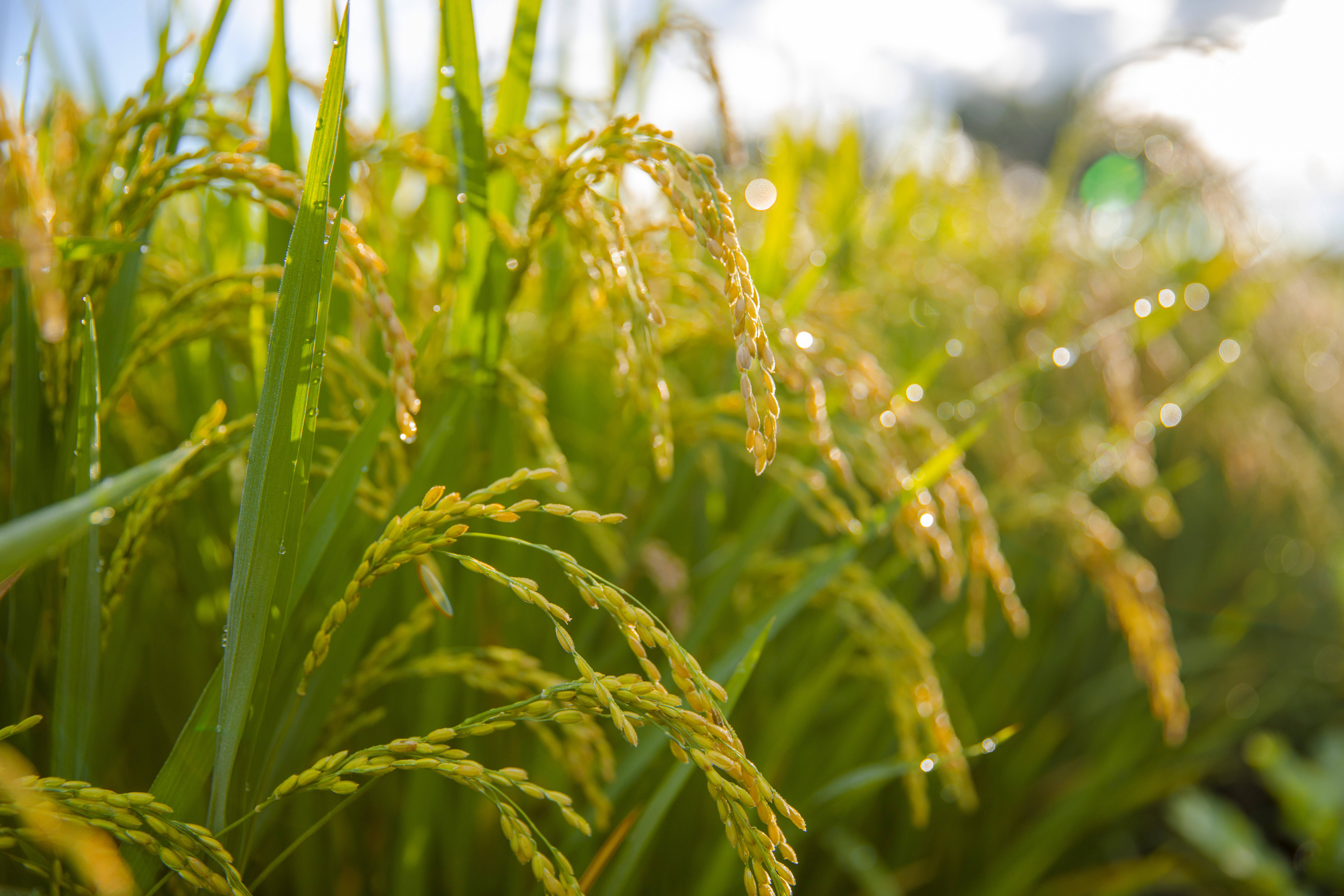 “雙十”品牌序言