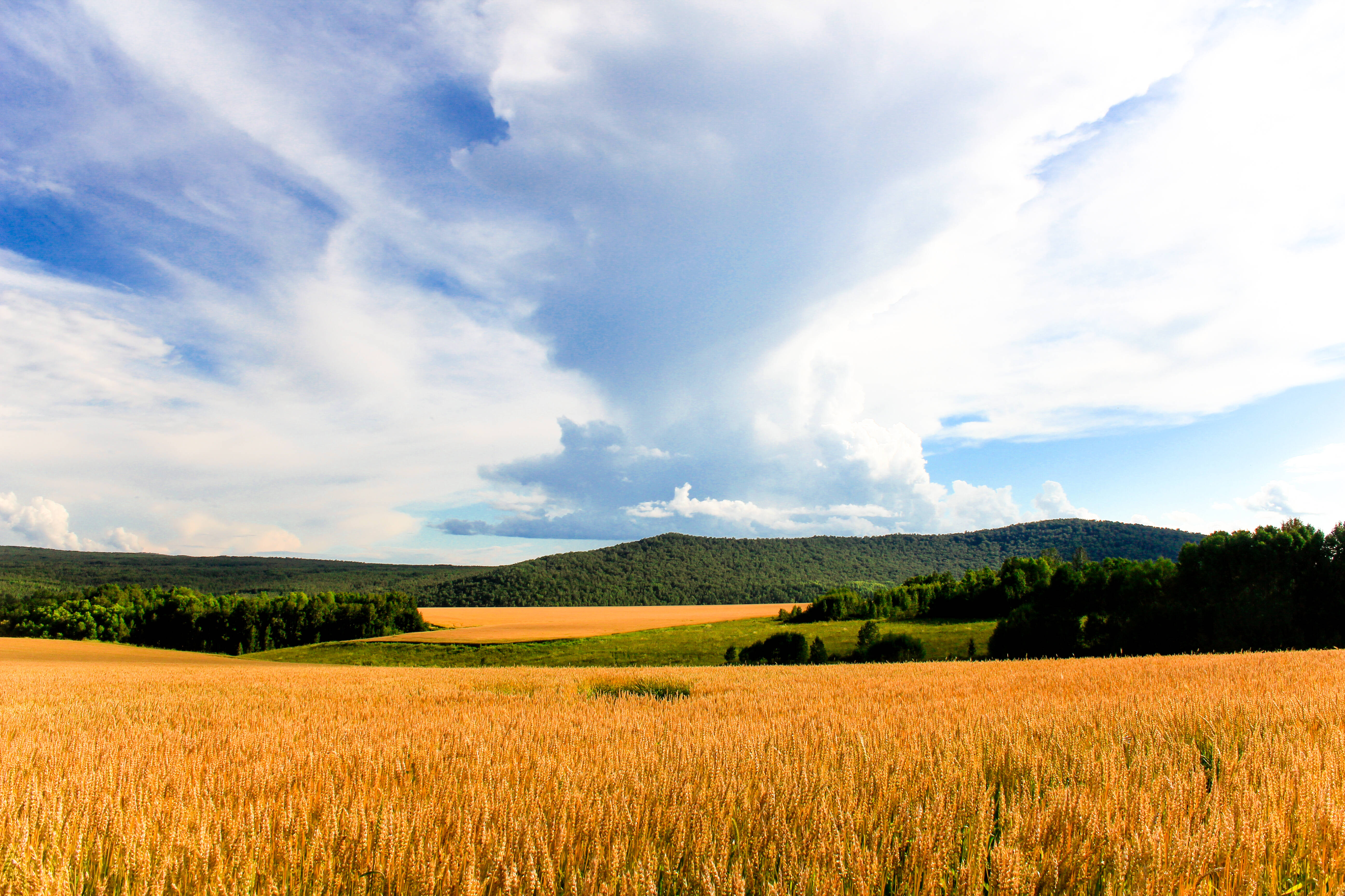 蘇農品〔2022〕13號關于公布2022年度江蘇省“十家農民合作社十個暢銷產品品牌”“十家電商農民合作社十個網絡暢銷產品品牌”推選結果的通知