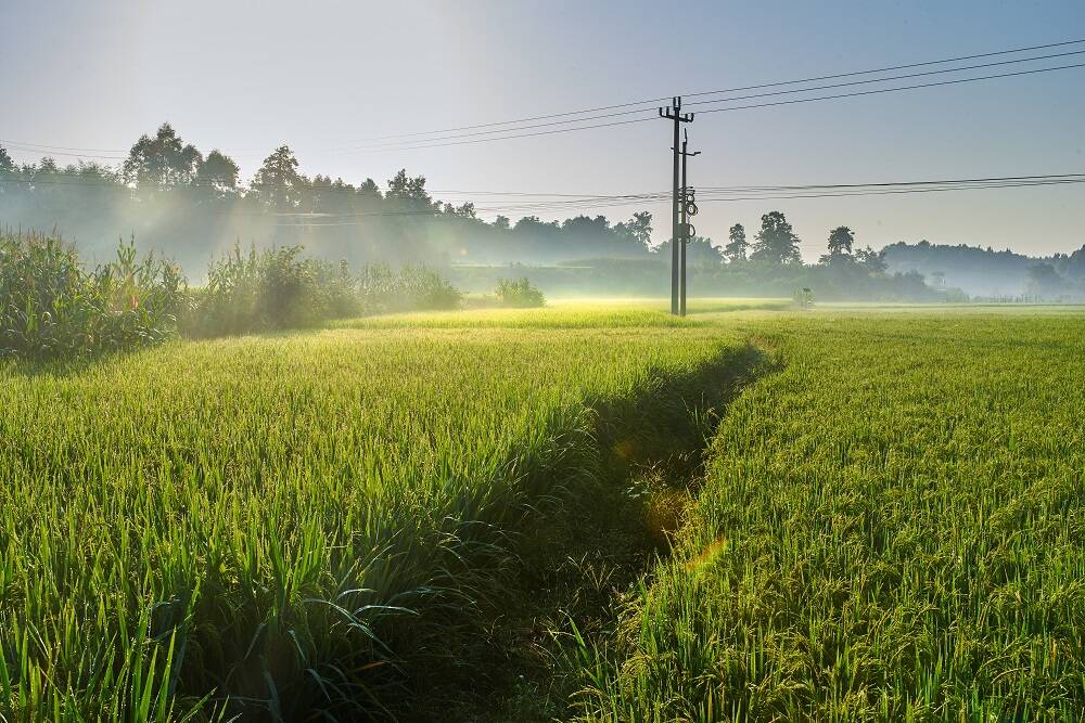 第十五屆江蘇省農民合作社產品展銷會線上線下同步開展