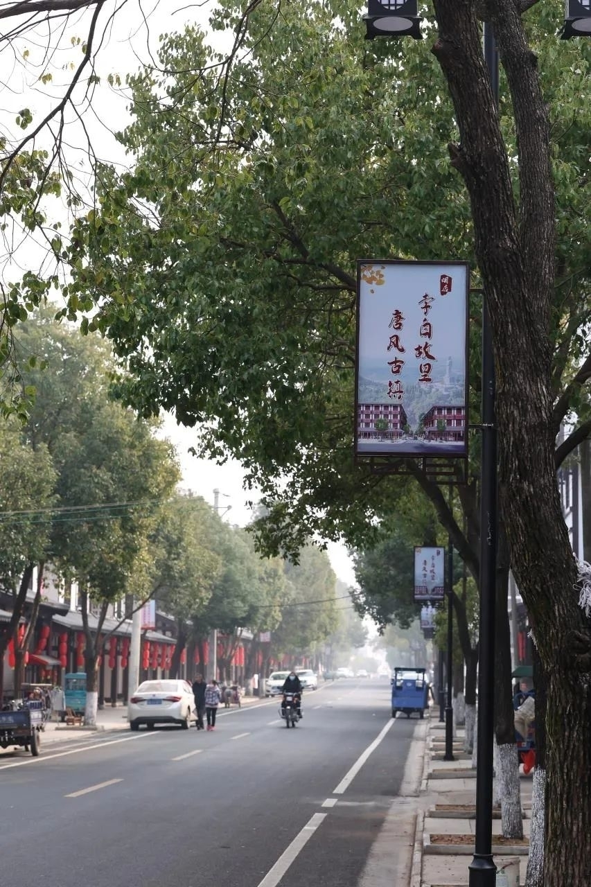 如何缔造和美城乡？湖北孝感用“三项行动”交出优异答卷