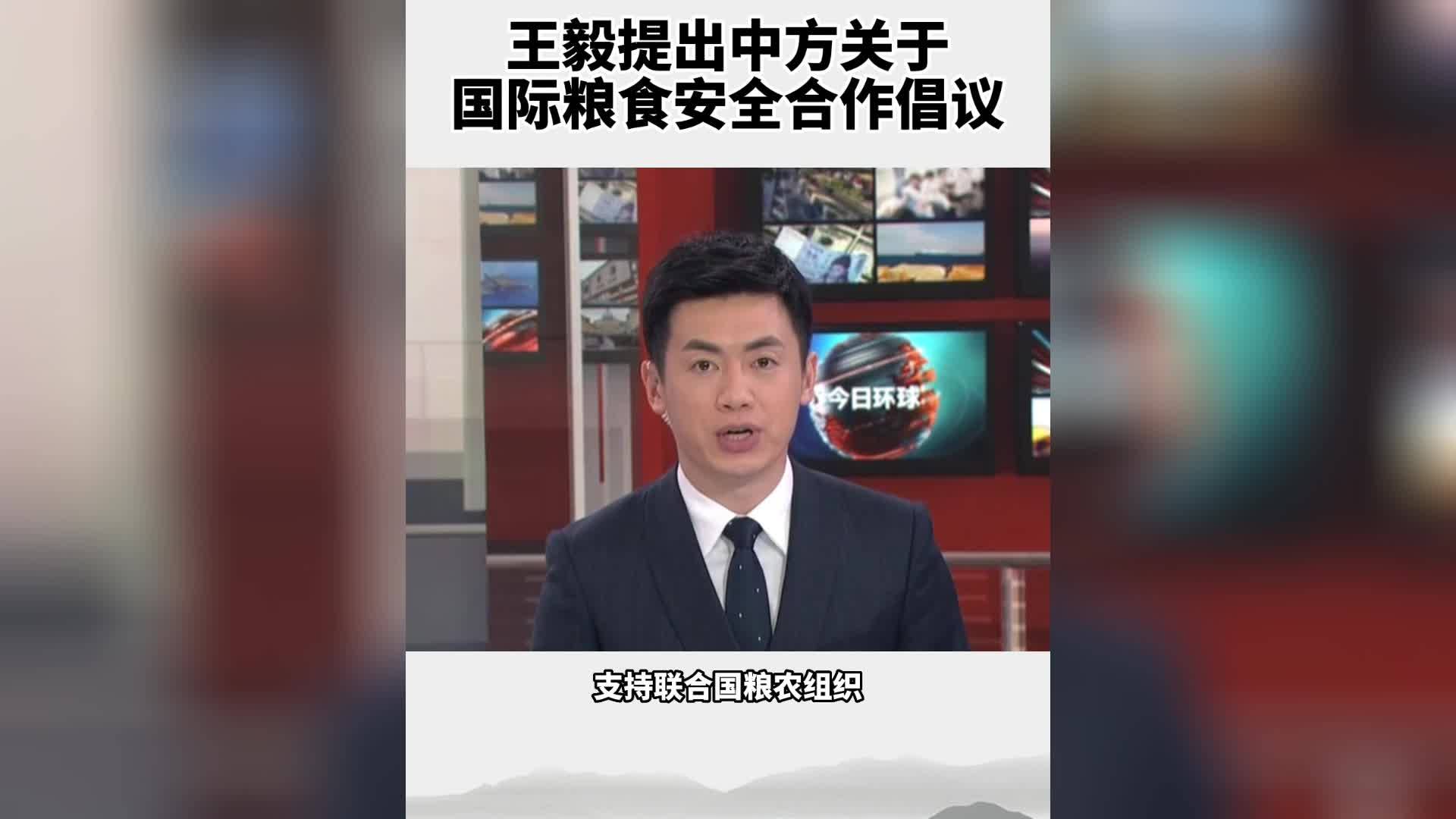 王毅提出中方关于国际粮食安全合作倡议