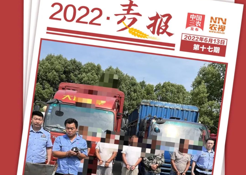 警惕！黑心粮贩磅秤上做手脚，骗取农民2.8万多斤小麦 | 麦报·第十七期