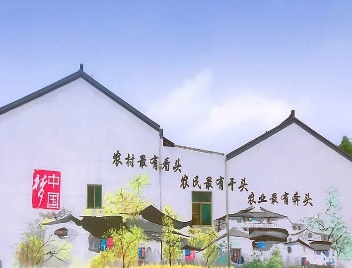 从“美丽”到“和美”，乡村建设有什么不同？听听专家怎么说