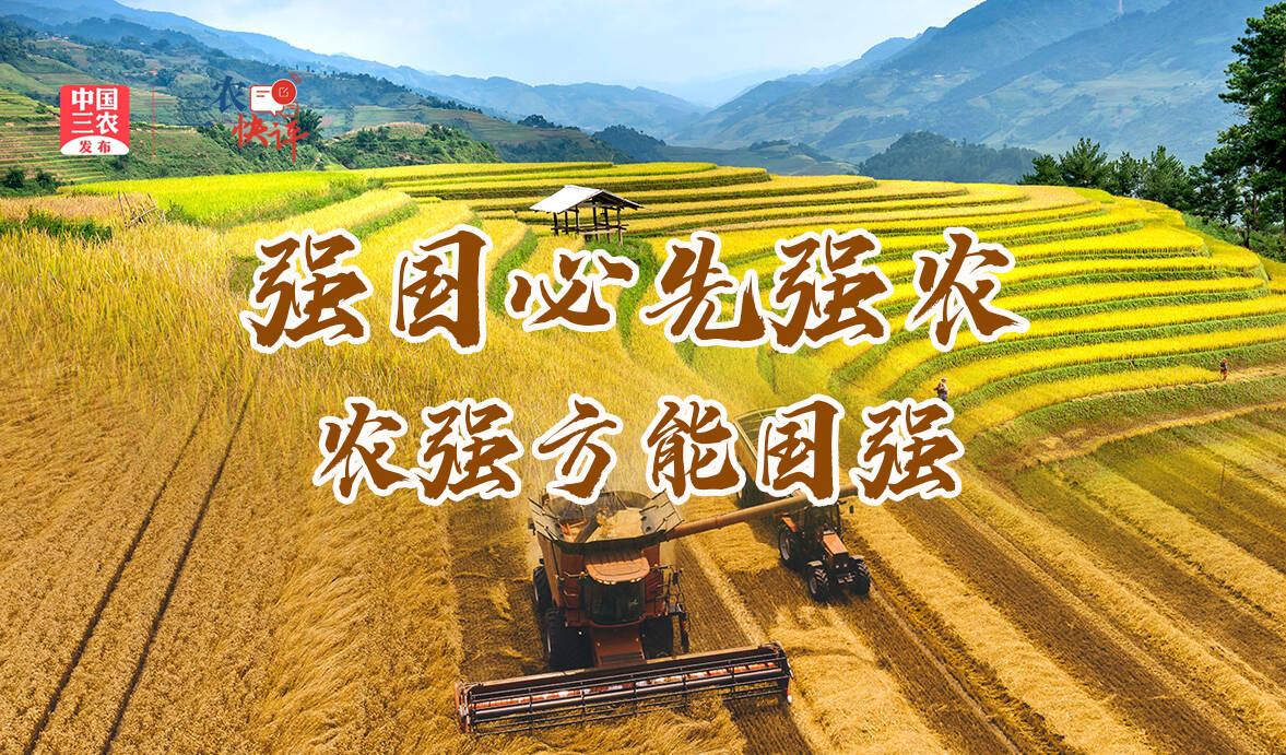 [三农快评]解读中央农村工作会议之一：强国必先强农，农强方能国强