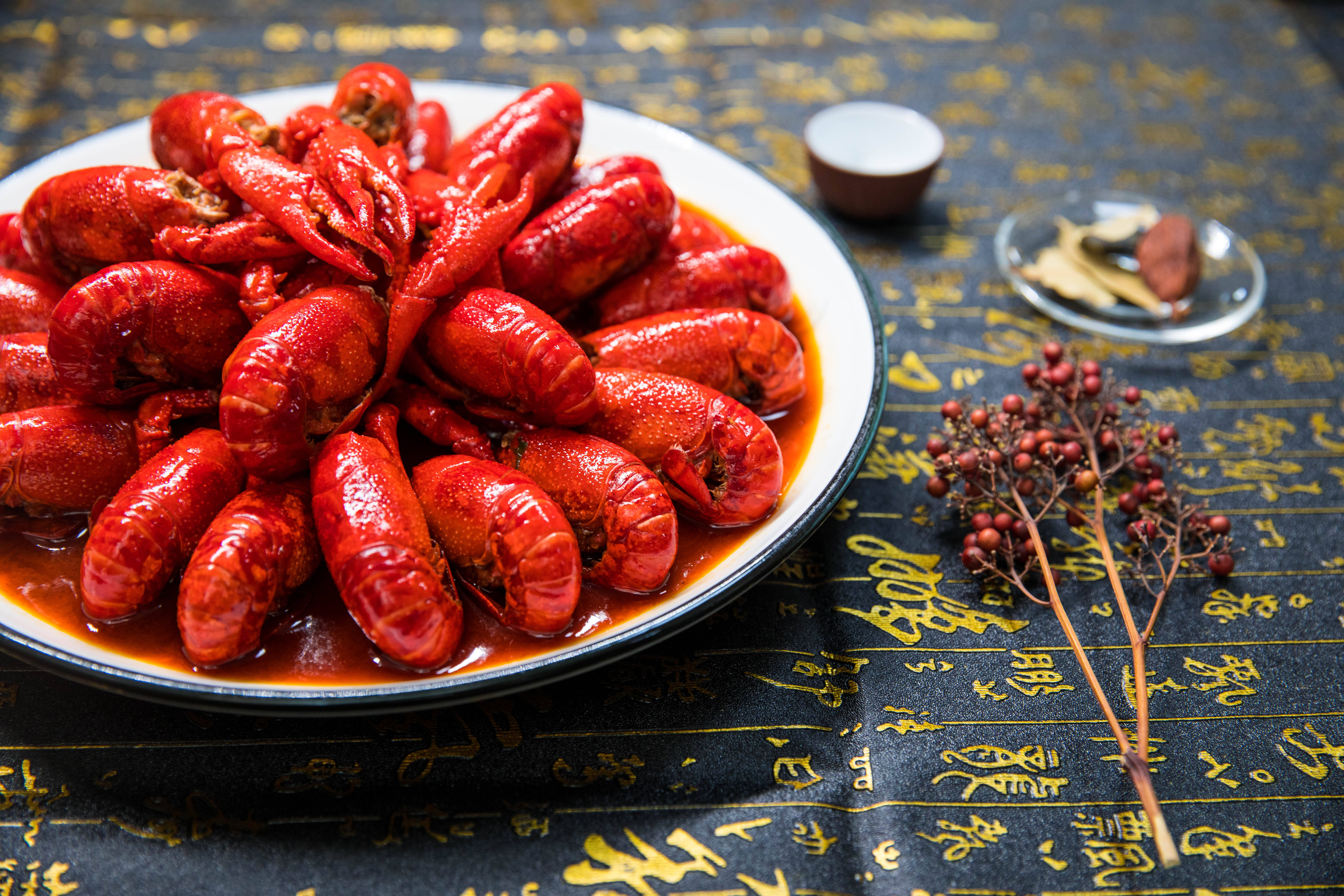 龍蝦——南京簡諾種植專業(yè)合作社