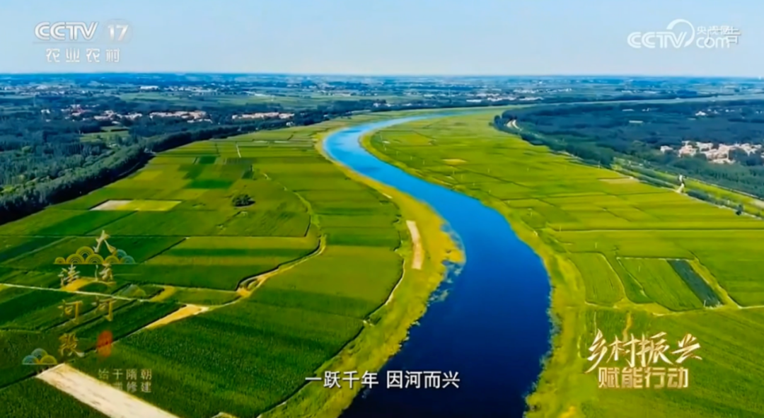 解锁“清河实践”新密码，激活乡村发展新引擎丨CCTV-17公益展播
