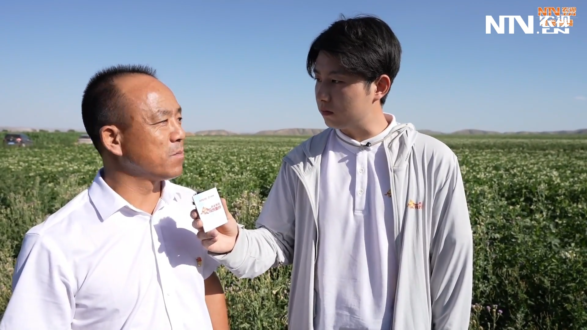 甘肃会宁：高标准农田改变传统种植模式，实现农业高质量发展