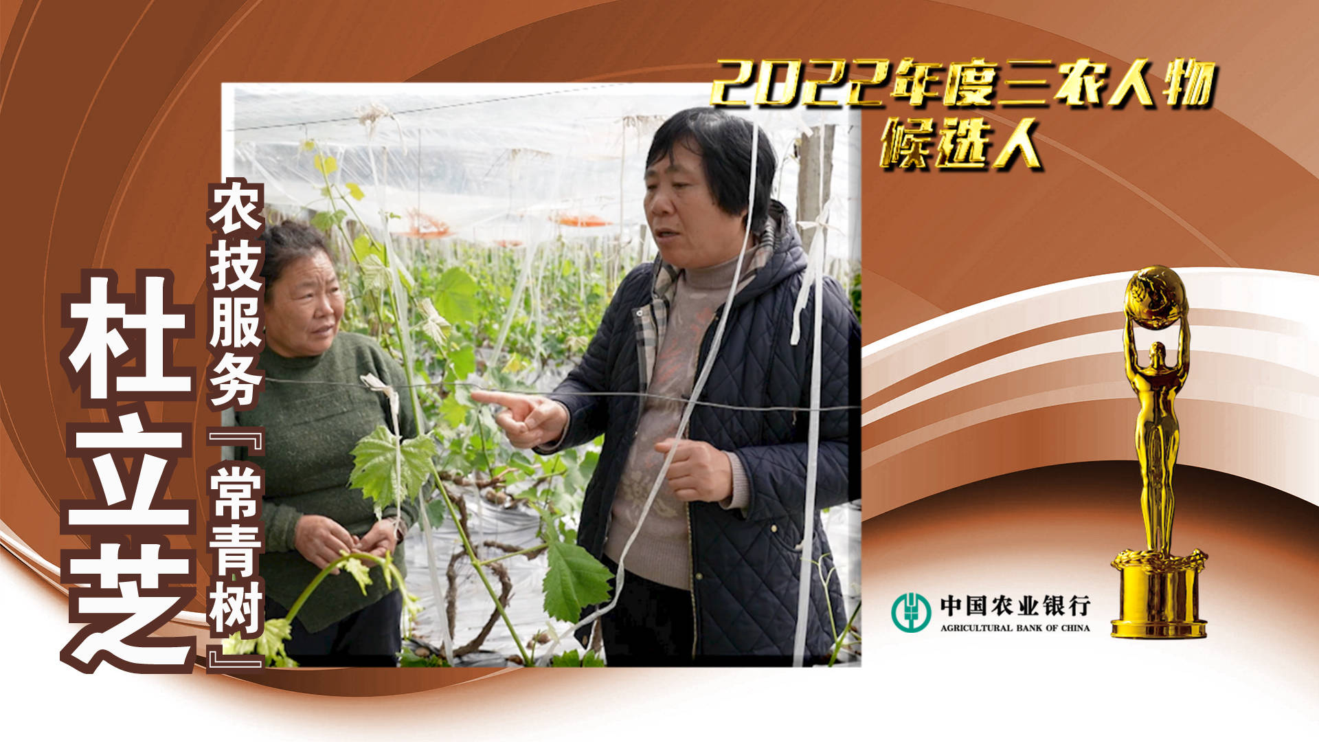 中国农业银行#2022年度三农人物候选人 杜立芝：农技服务“常青树”