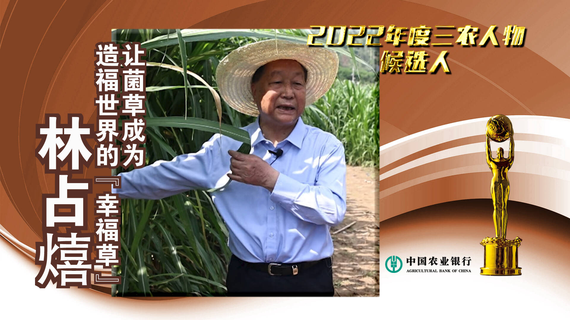 中国农业银行#2022年度三农人物候选人 林占熺：让菌草成为造福世界的“幸福草”