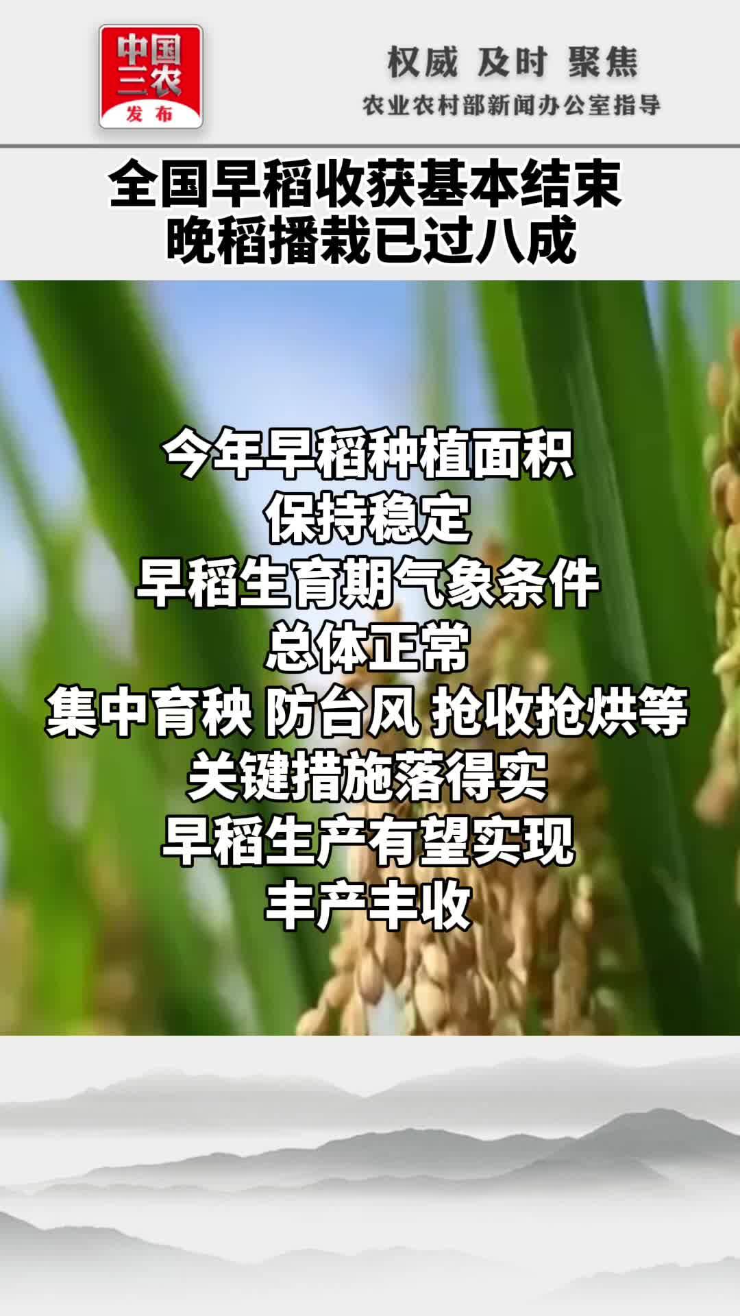 全国早稻收获基本结束 晚稻播栽已过八成
