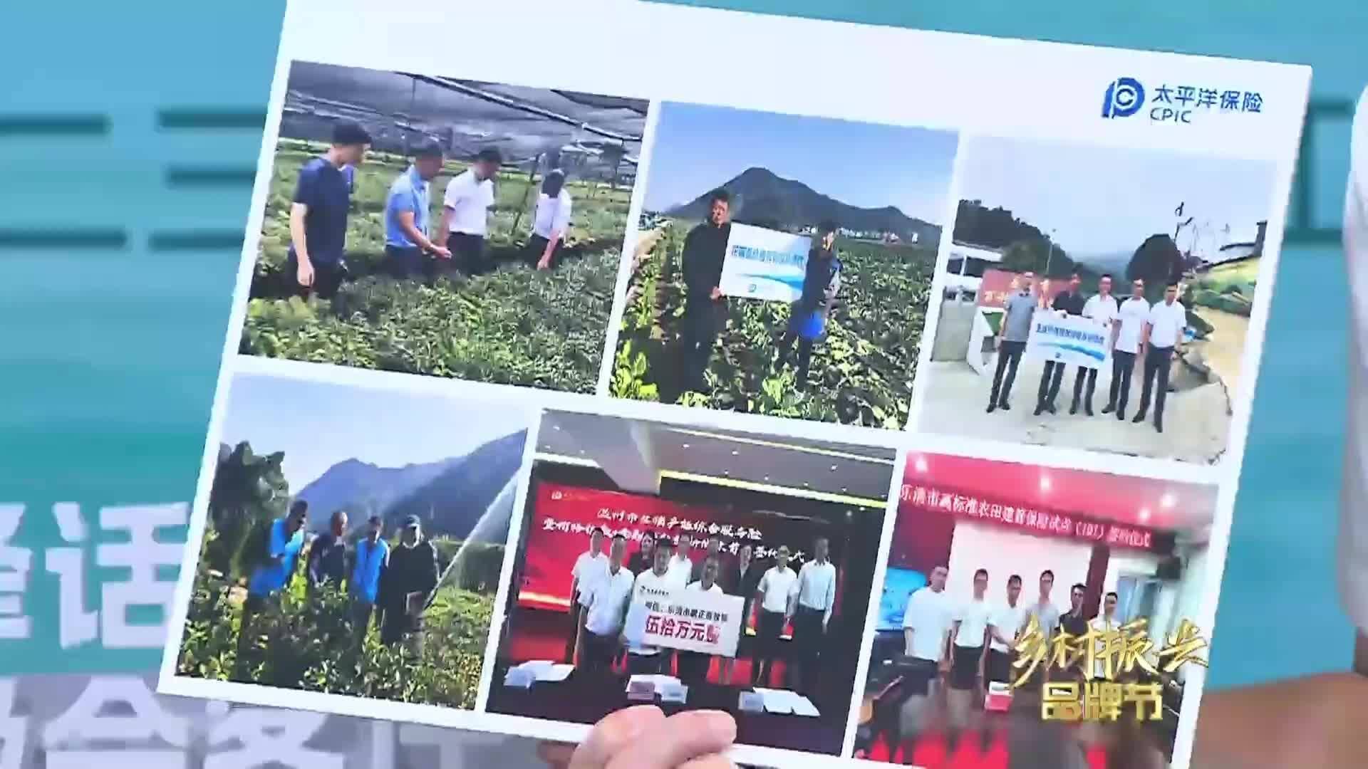 太平洋保险发挥保险兜底作用，助力铁皮石斛产业高质量迭代升级