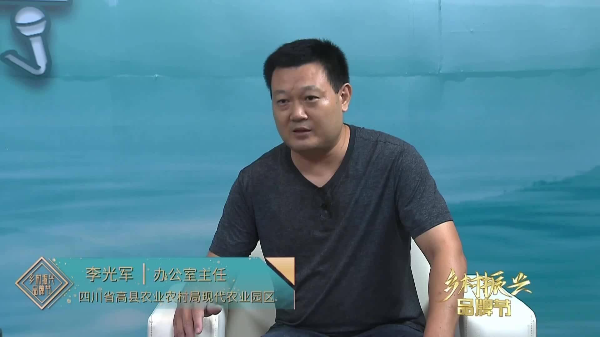 看高县如何打好“中国蚕桑之乡”的金字招牌