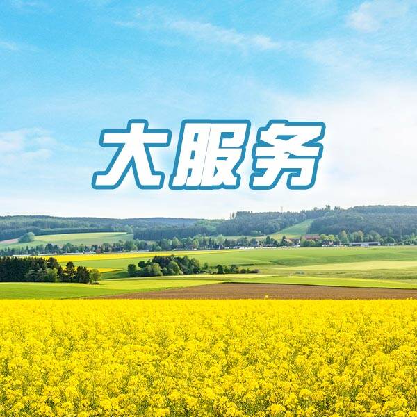 大服务