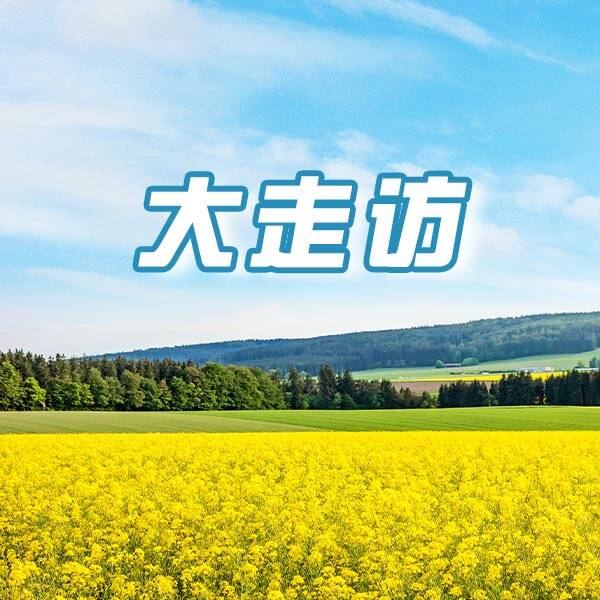 大走访