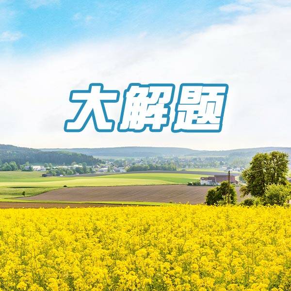 大解题