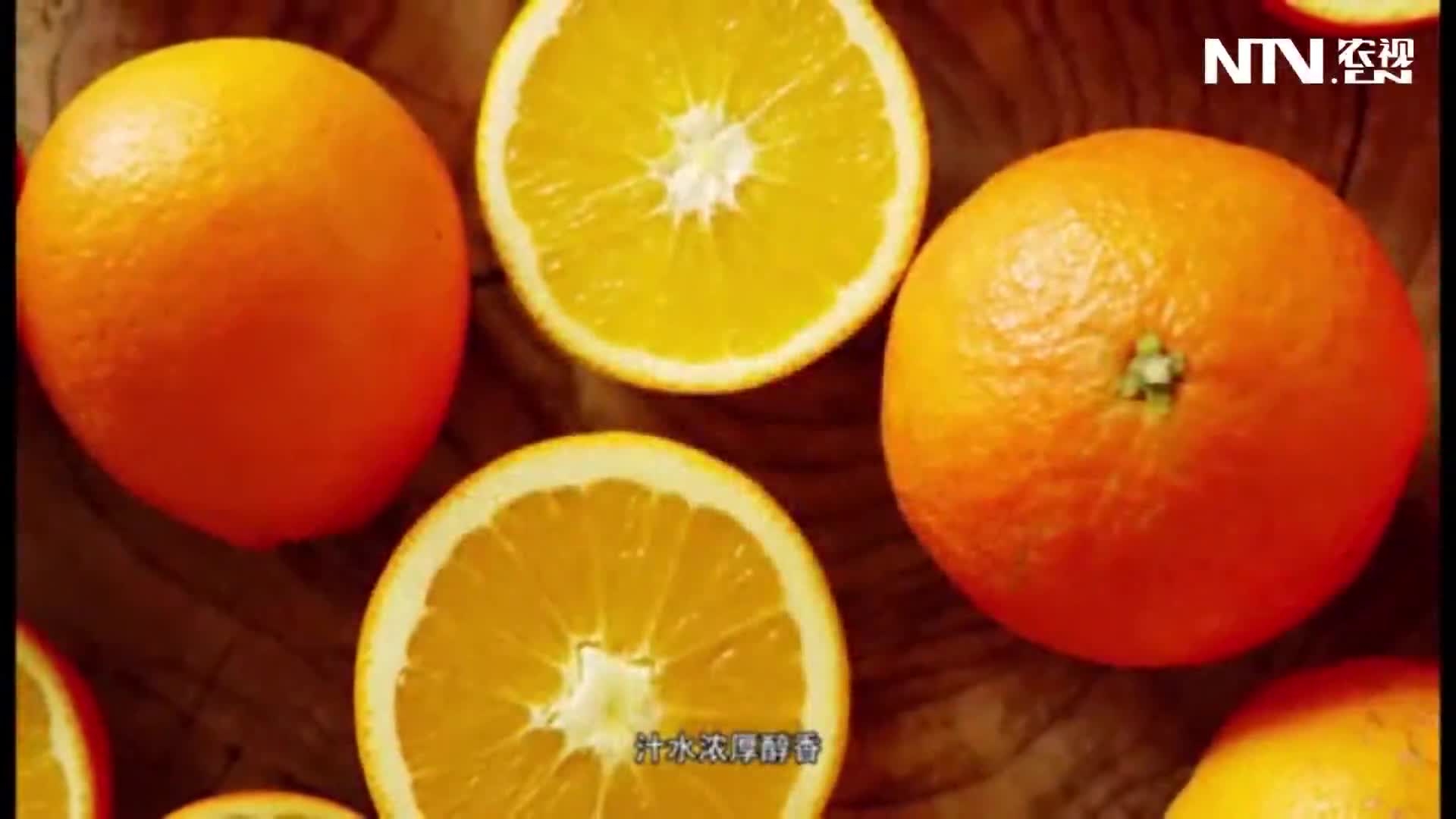 四川雷波脐橙：芳香浓郁
