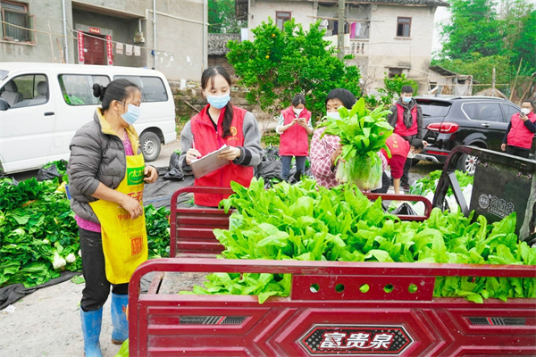 北碚：临时“经纪人”解决村民蔬菜滞销难题