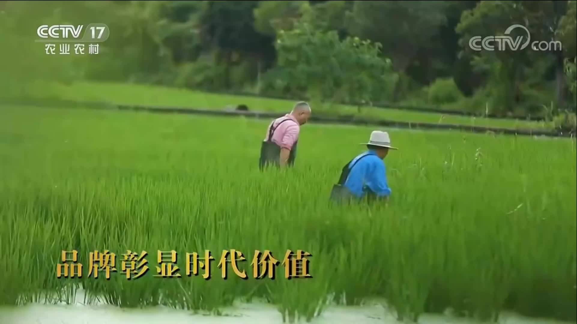中国农业电影电视中心品牌