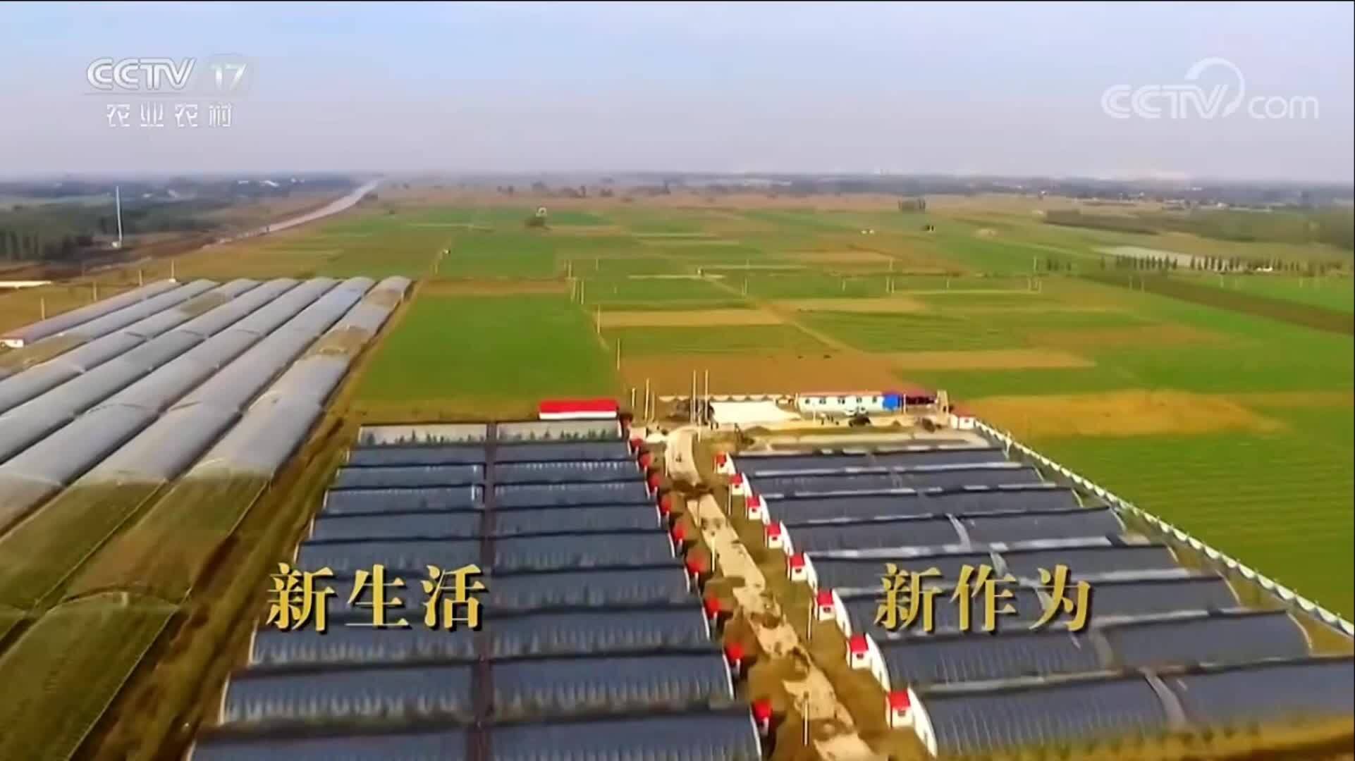 中国农业电影电视中心品牌