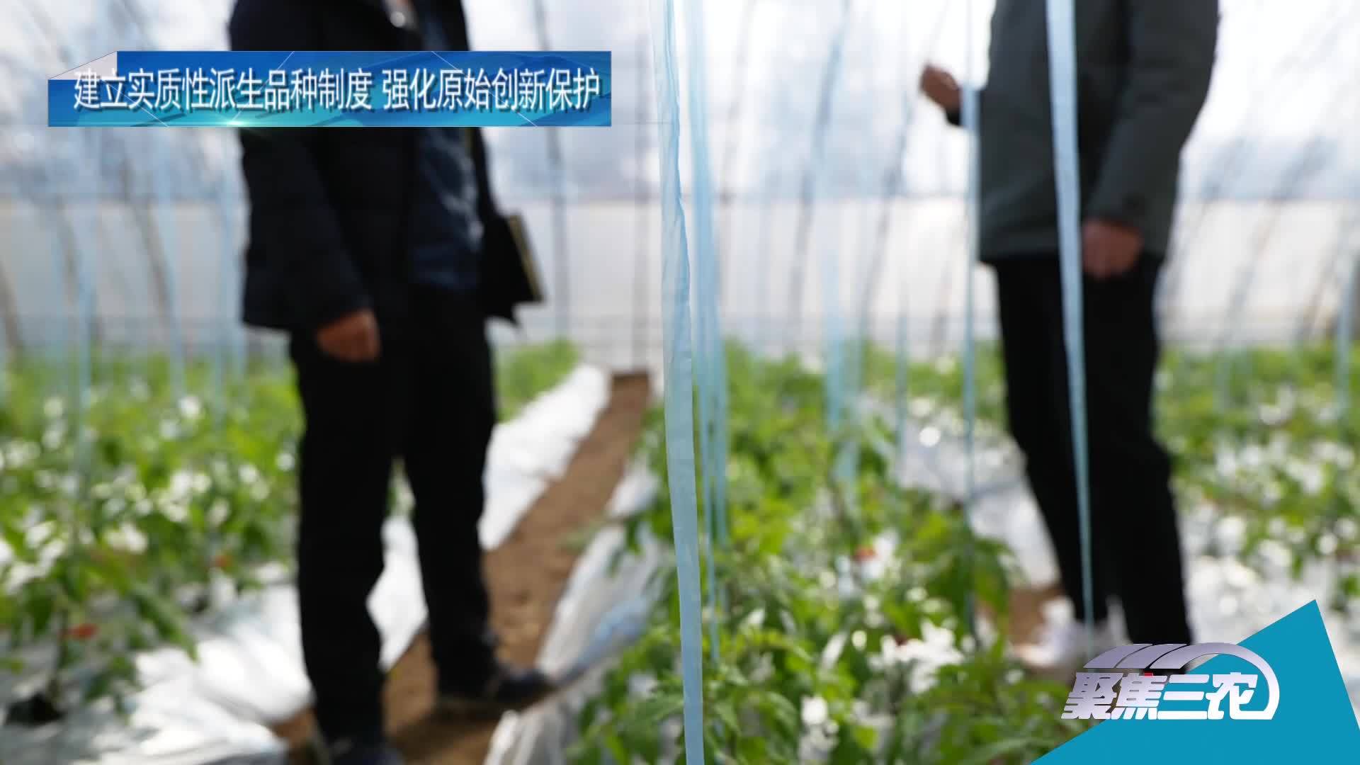 [聚焦三农]新种子法如何护航我国种业发展20220301