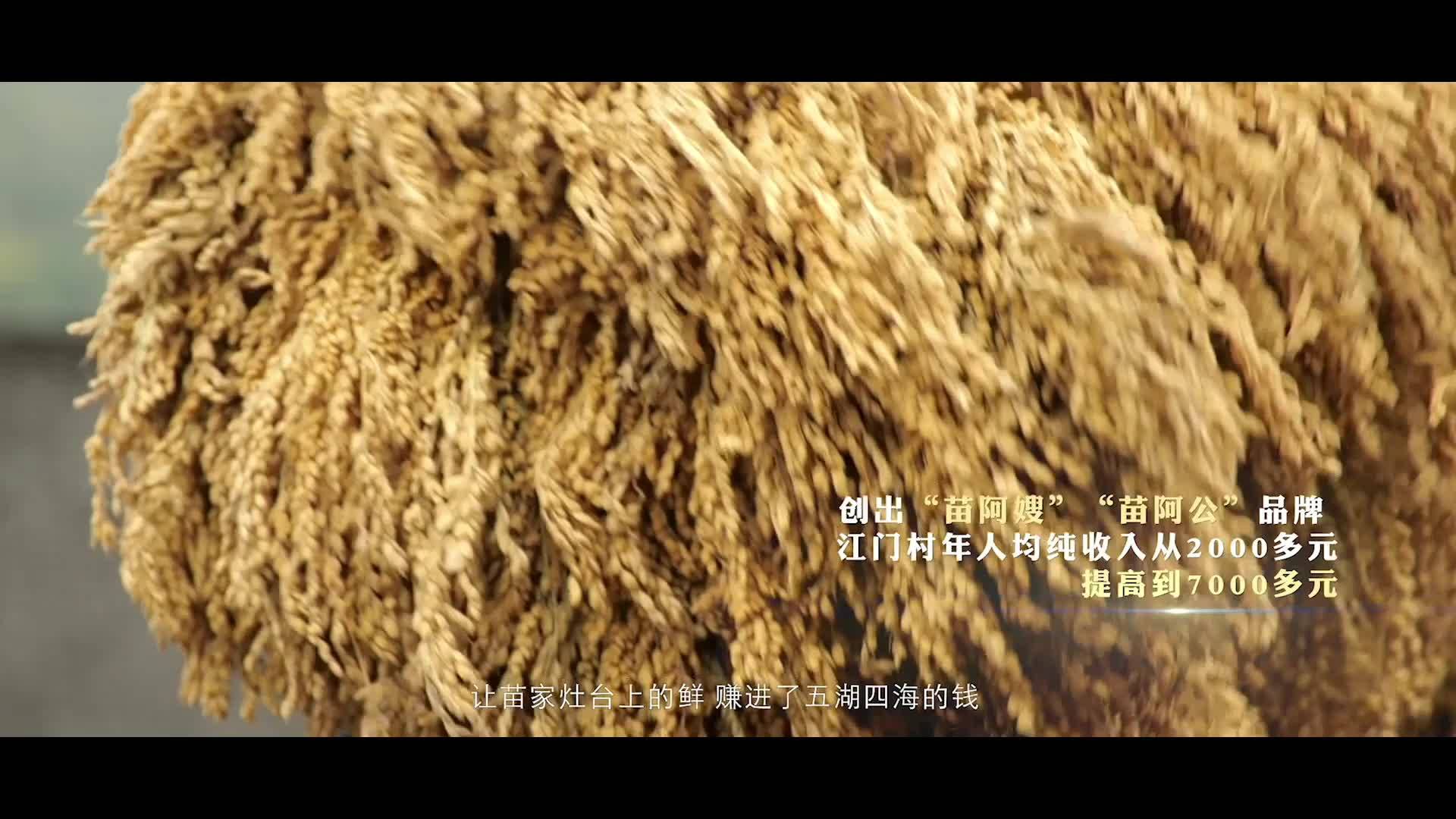 《乡村振兴——我们在路上》预热短视频 杨宁