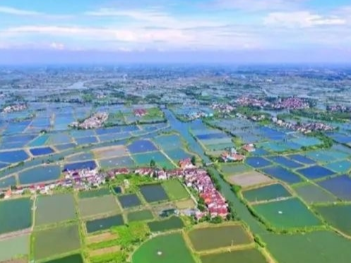 浙江湖州桑基鱼塘系统