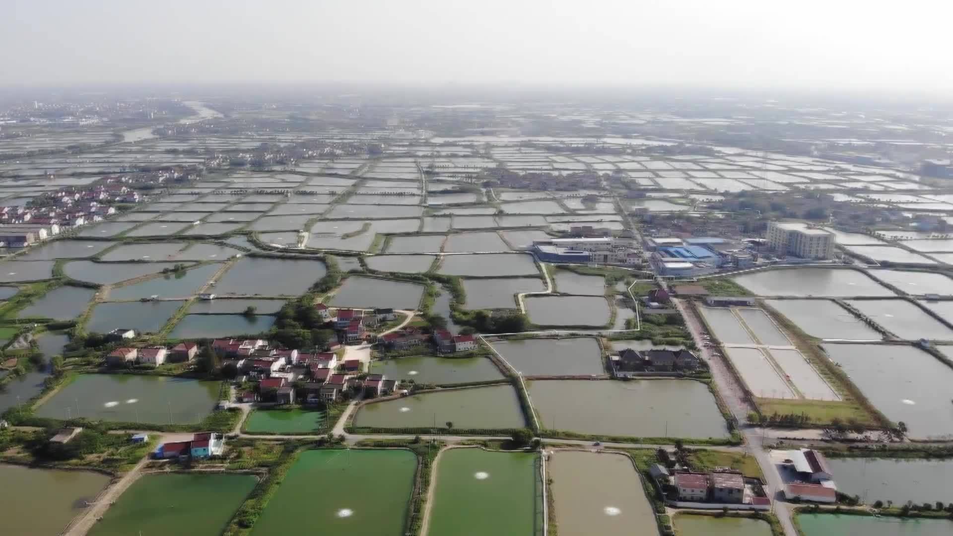 浙江湖州桑基鱼塘系统