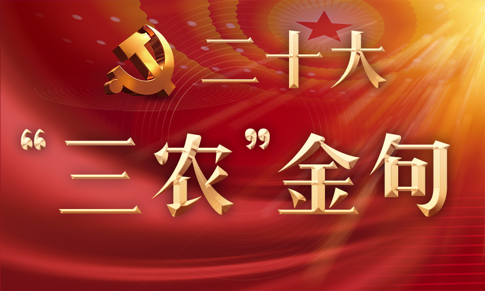 习近平：高举中国特色社会主义伟大旗帜 为全面建设社会主义现代化国家而团结奋斗——在中国共产党第二十次全国代表大会上的报告