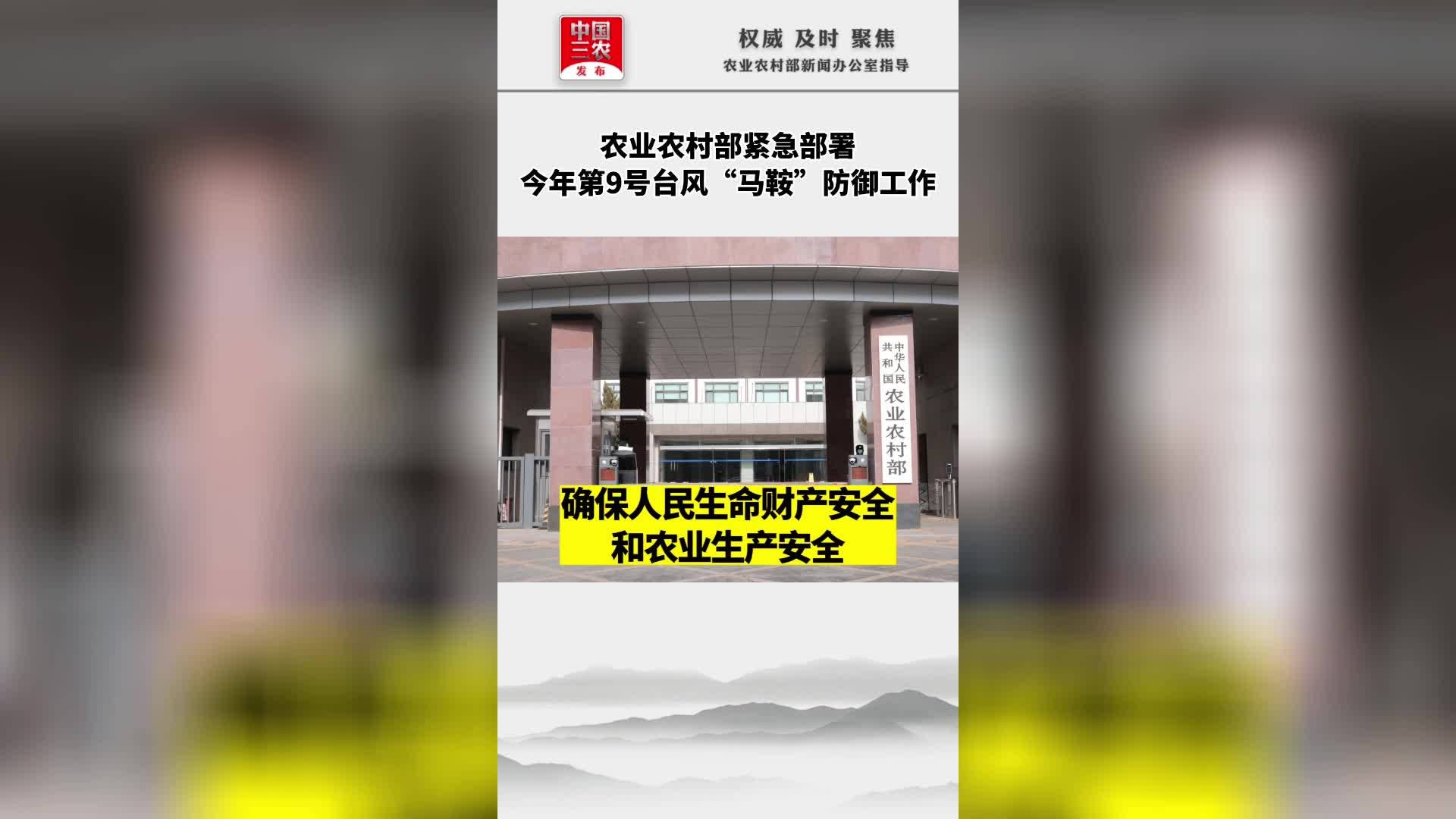 农业农村部紧急部署 今年第9号台风“马鞍”防御工作