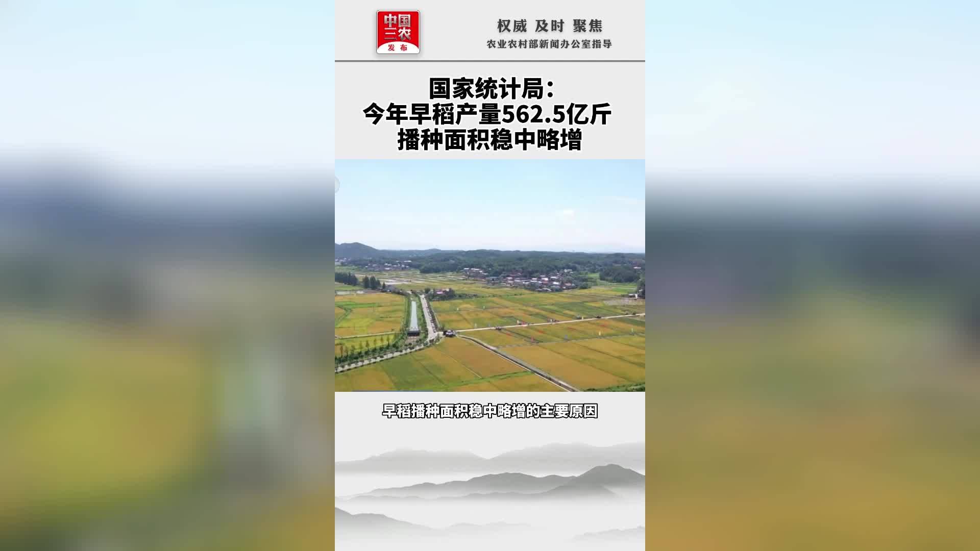 国家统计局：今年早稻产量562.5亿斤播种面积稳中略增