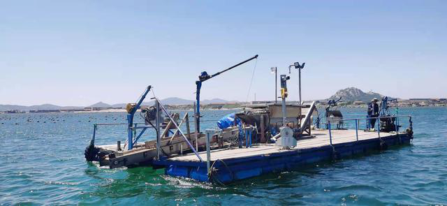 ​2021中国农业农村重大新装备|延绳吊养牡蛎机械化采收设备