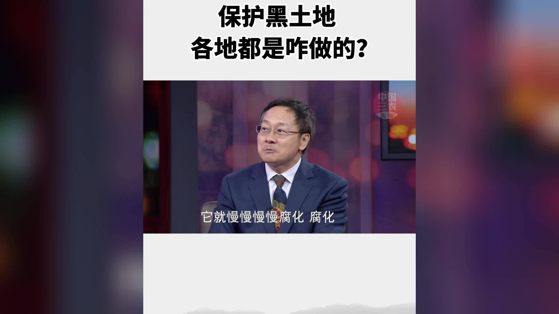 保护黑土地 各地都是咋做的？